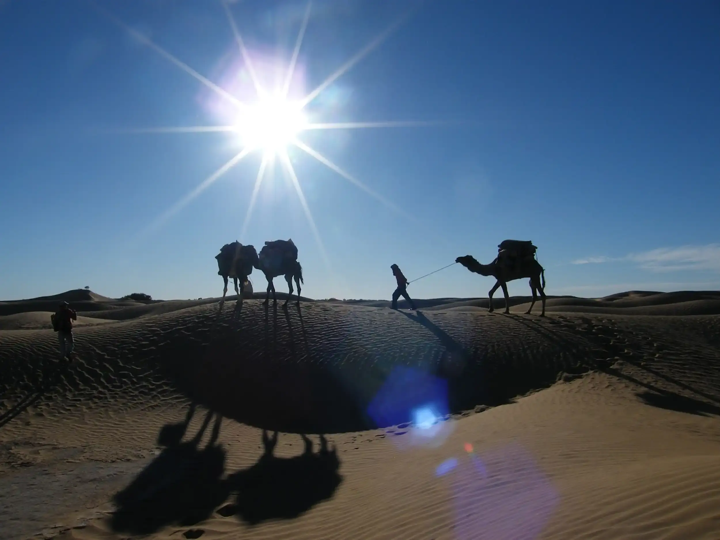 Experience the desert during your stay at our guesthouse in Marrakech